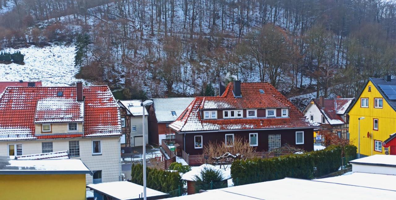 Arode Huette Harzilein - Romantic Tiny House On The Edge Of The Forest Zorge Exterior photo