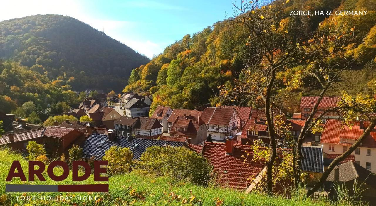 Arode Huette Harzilein - Romantic Tiny House On The Edge Of The Forest Zorge Exterior photo